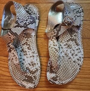Bernado Snake Print Slingback Thong Sandal